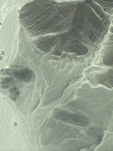 Nazca-Linien