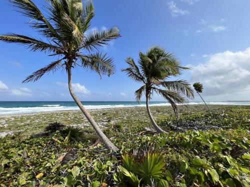 Tulum