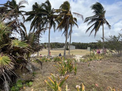 Tulum