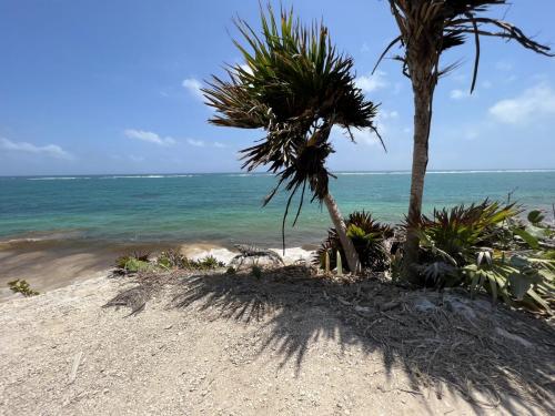 Tulum