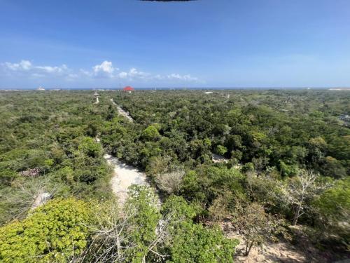 Xplor