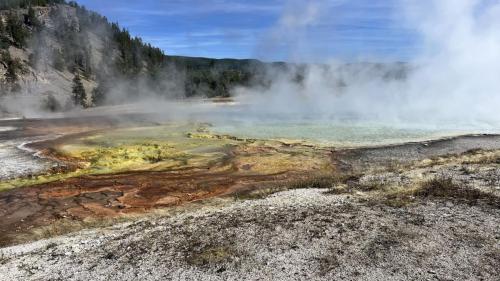 Yellowstone 