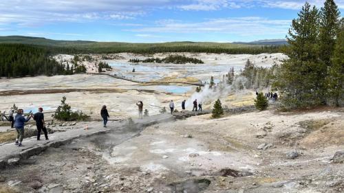 Yellowstone 