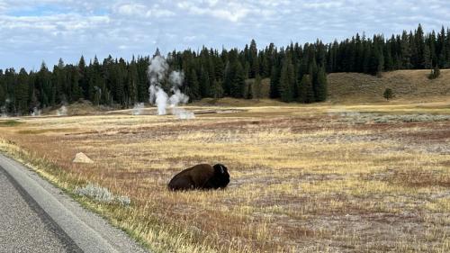 Yellowstone 