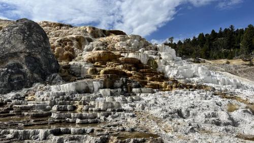 Yellowstone 