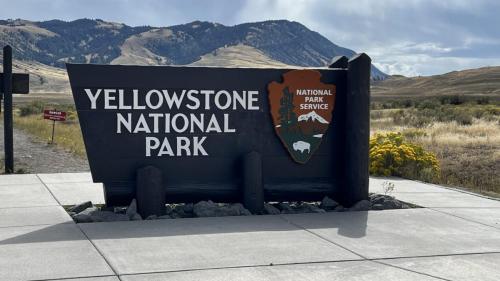 Yellowstone 