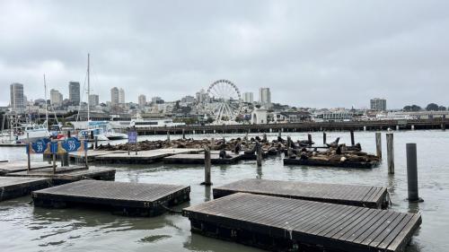 San Francisco