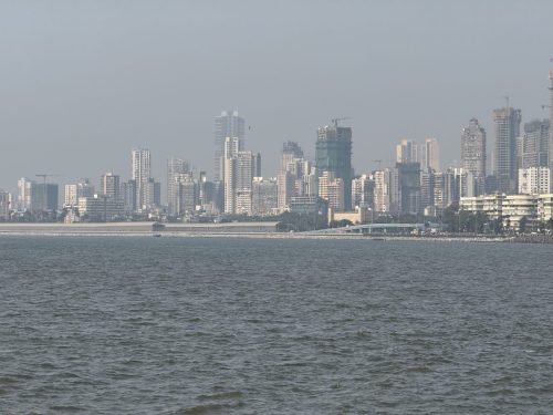 IMG 0245
