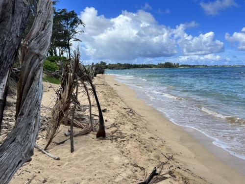 Hawaii