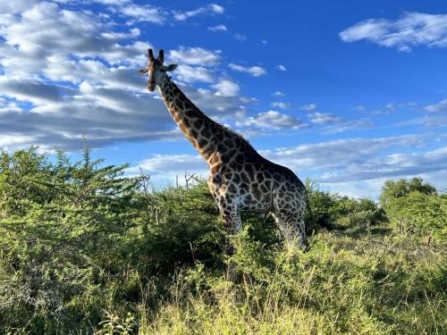 Hluhluwe Park