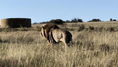 Addo Park